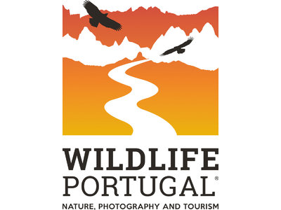 Wildlife Portugal.jpg